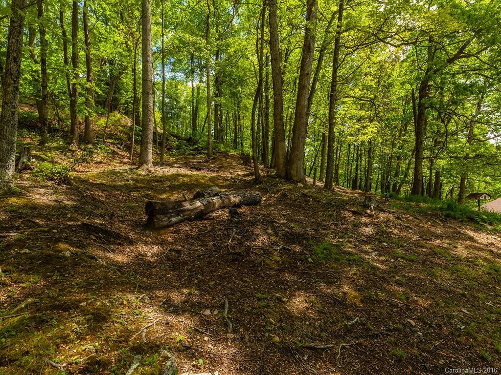 157 Spring Mountain Road Fairview NC 28730
