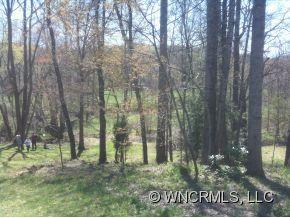 25 Janet Road Candler NC 28715