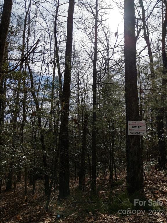 000 Dogwood Drive Penrose NC 28766