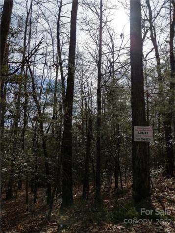 000 Dogwood Drive Penrose NC 28766