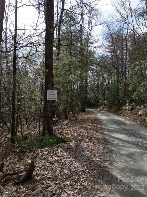 000 Dogwood Drive Penrose NC 28766