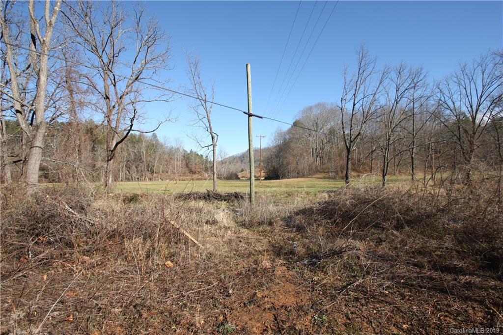 199 Sandy Mush Creek Road Leicester NC 28748