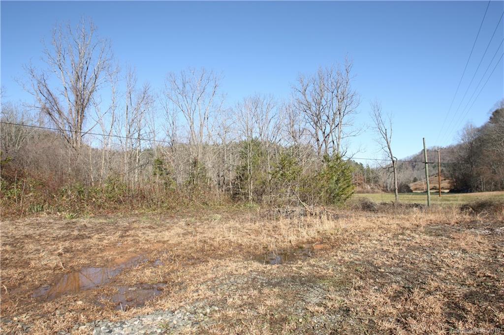 199 Sandy Mush Creek Road Leicester NC 28748
