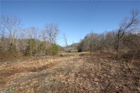 199 Sandy Mush Creek Road Leicester NC 28748