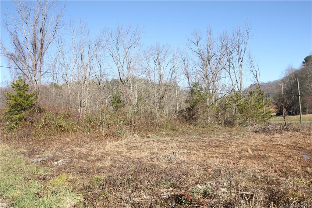 199 Sandy Mush Creek Road Leicester NC 28748