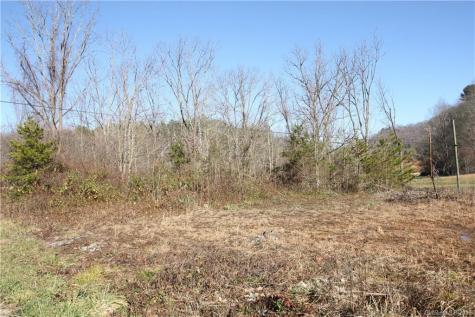 199 Sandy Mush Creek Road Leicester NC 28748