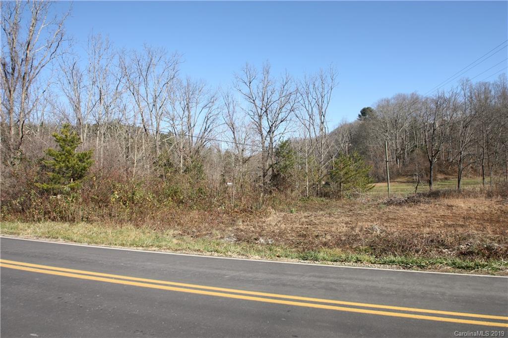 199 Sandy Mush Creek Road Leicester NC 28748