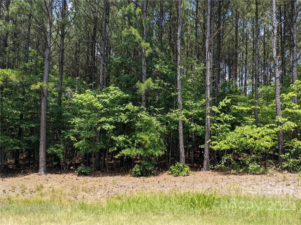 129 Plantation Way Mount Gilead NC 27306