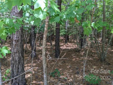 129 Plantation Way Mount Gilead NC 27306