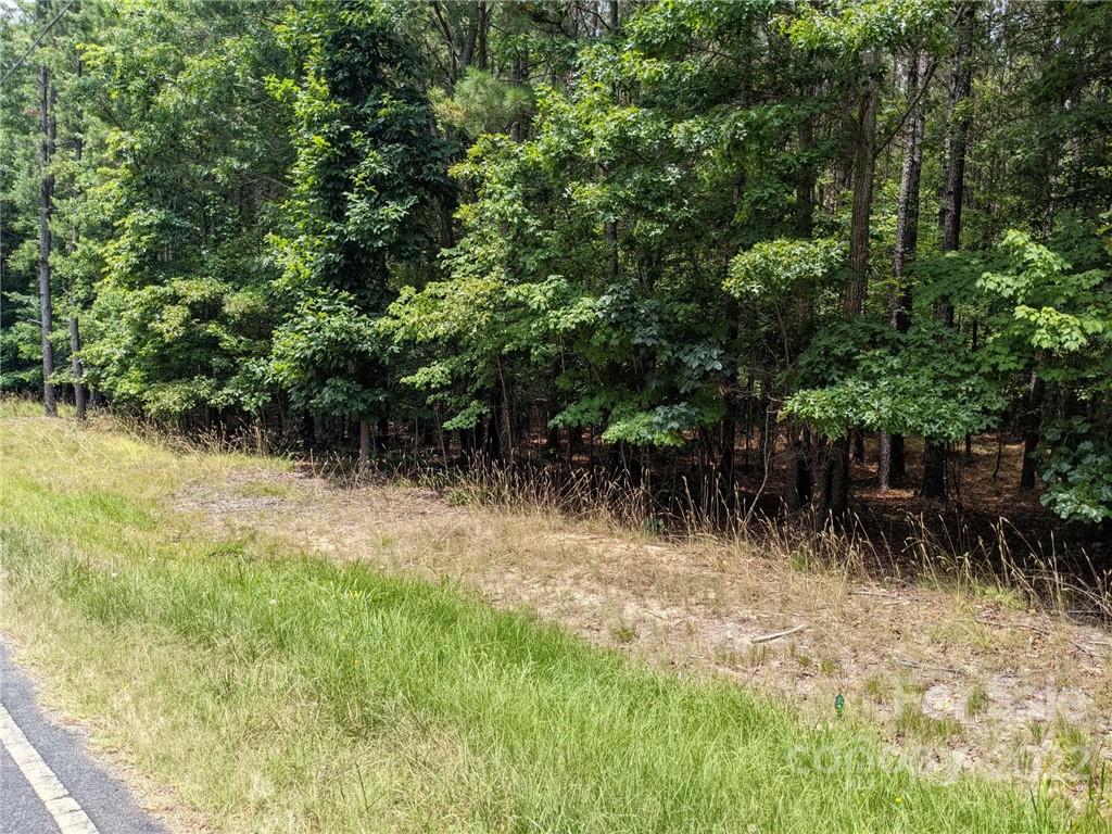 129 Plantation Way Mount Gilead NC 27306
