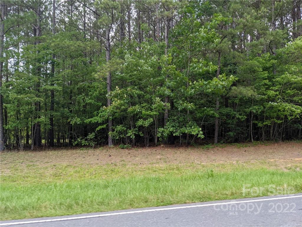 129 Plantation Way Mount Gilead NC 27306