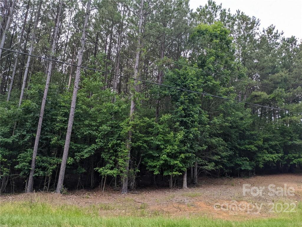 129 Plantation Way Mount Gilead NC 27306