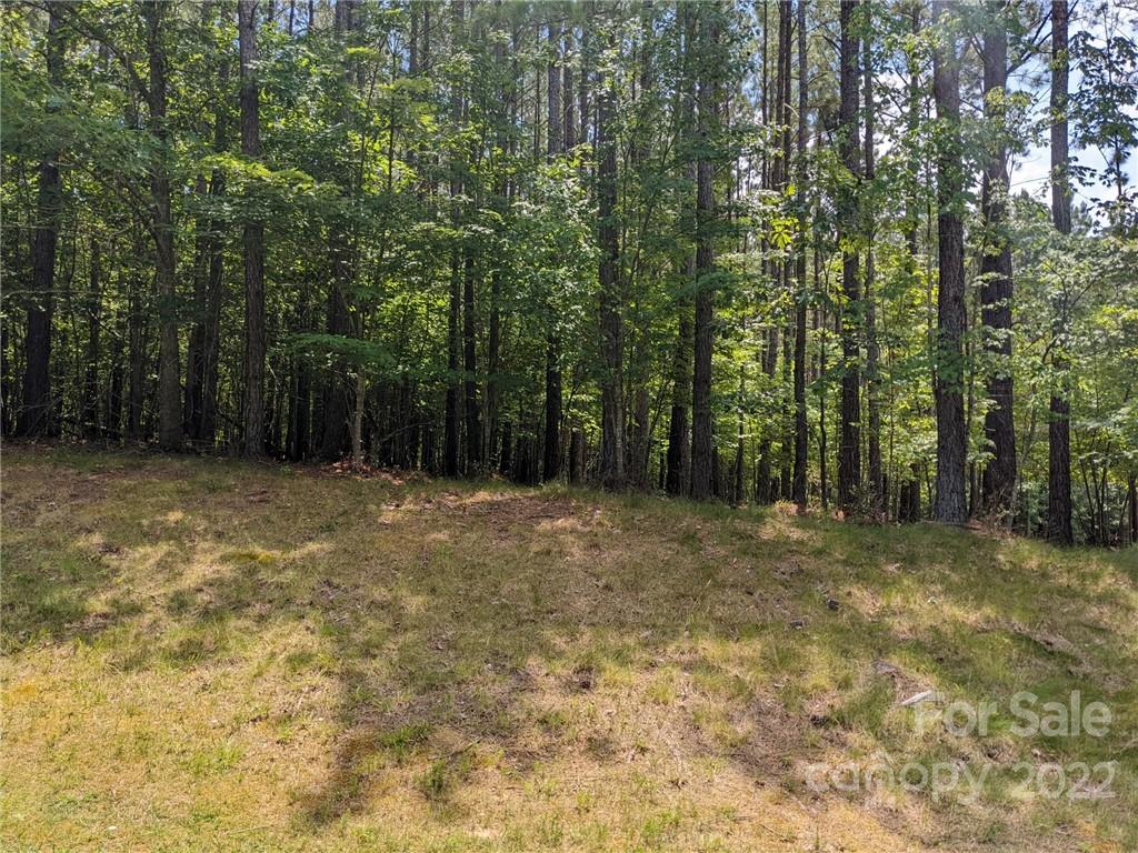129 Plantation Way Mount Gilead NC 27306