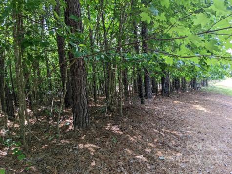 129 Plantation Way Mount Gilead NC 27306