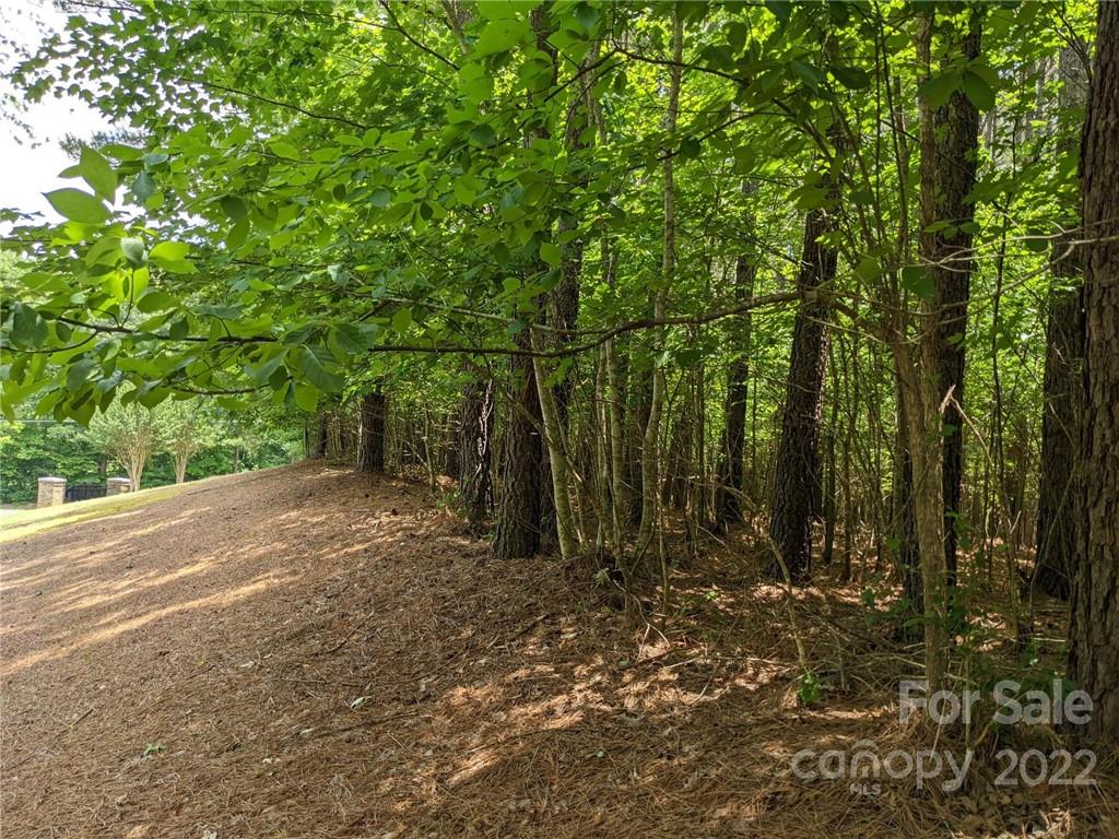 129 Plantation Way Mount Gilead NC 27306
