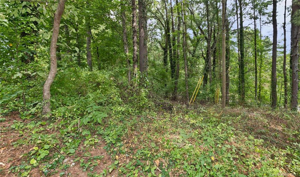 3 Woodland Road W Asheville NC 28806