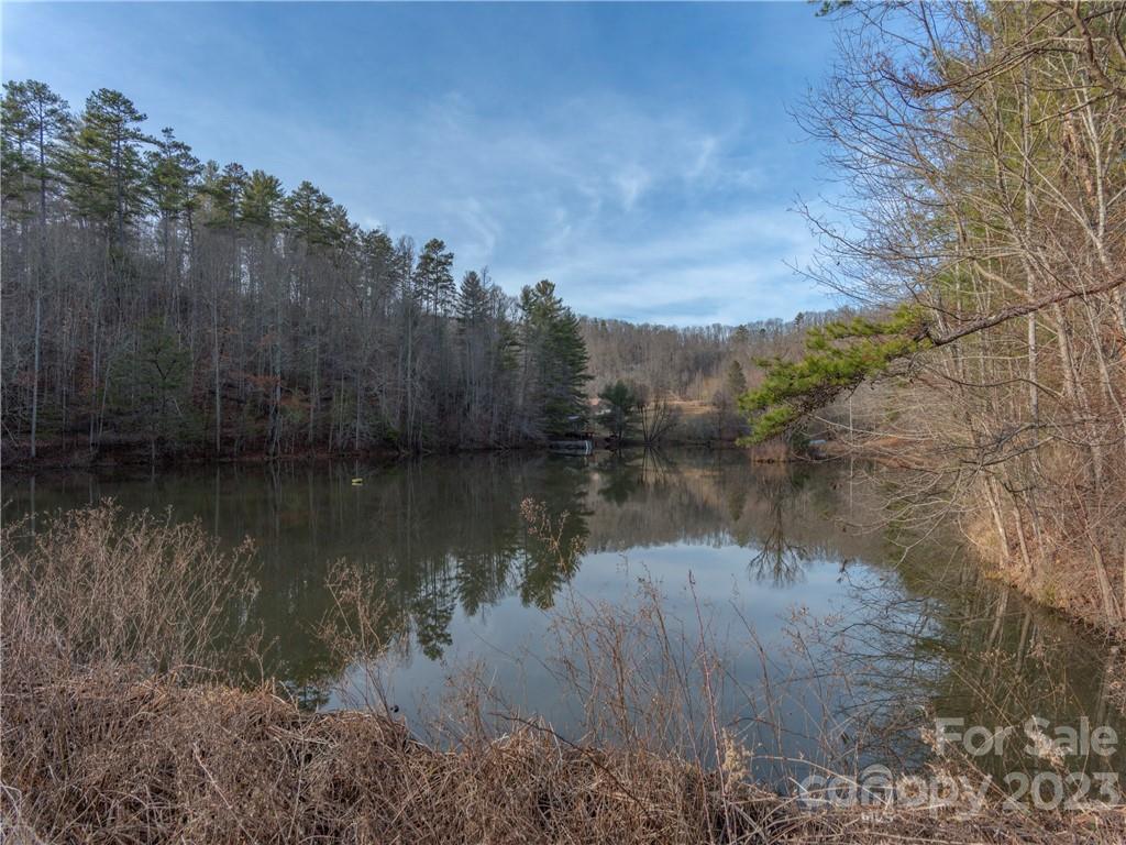 175 Red Oak Lane Marshall NC 28753