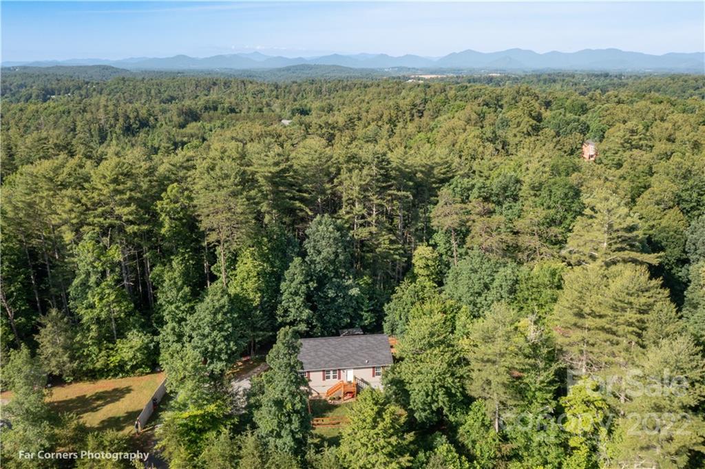 71 Cocoa Lab Lane Weaverville NC 28787