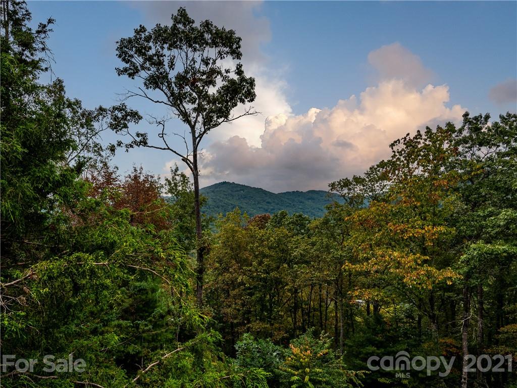 25 Lynnette Drive Fairview NC 28730