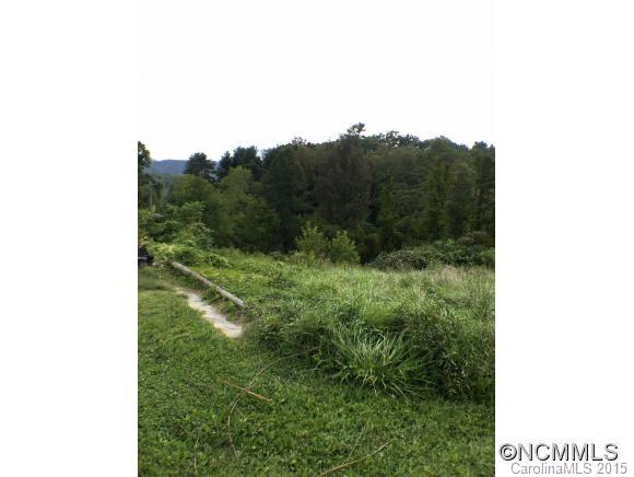 63 Laurel Cove Road Candler NC 28715