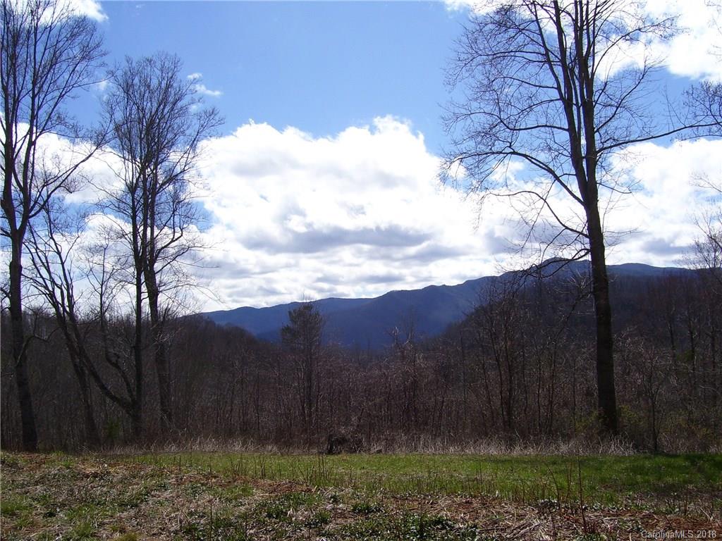 155 Spirit Hollow Canton NC 28716