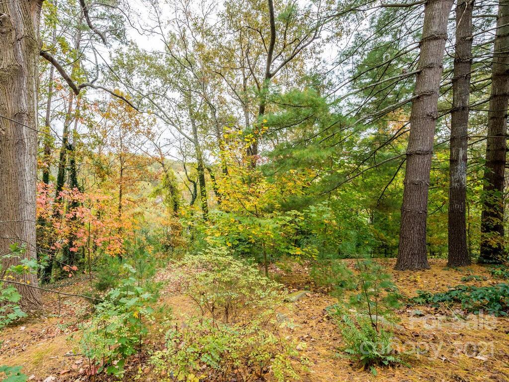 67 Cumberland Circle Asheville NC 28801