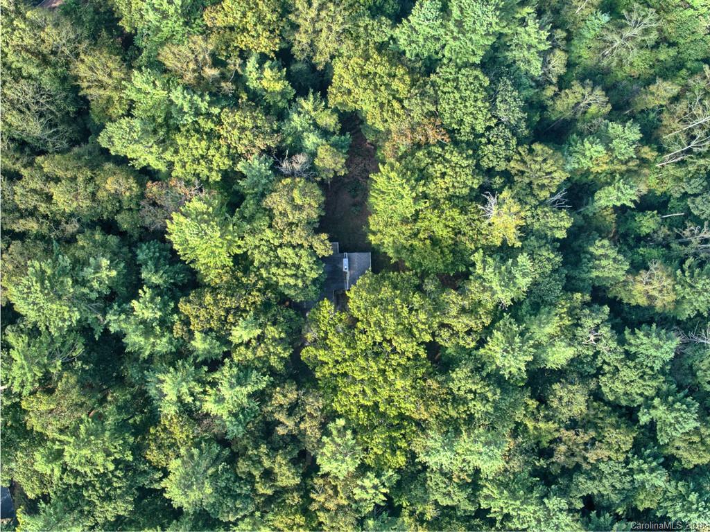 37 Glenview Road Asheville NC 28804