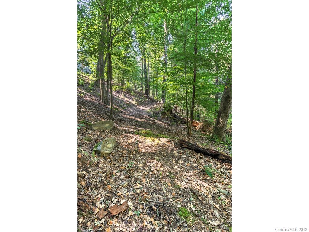 37 Glenview Road Asheville NC 28804