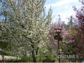 34 Eastmoor Drive Asheville NC 28805