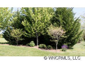 59 Drakes Meadow Lane Arden NC 28704