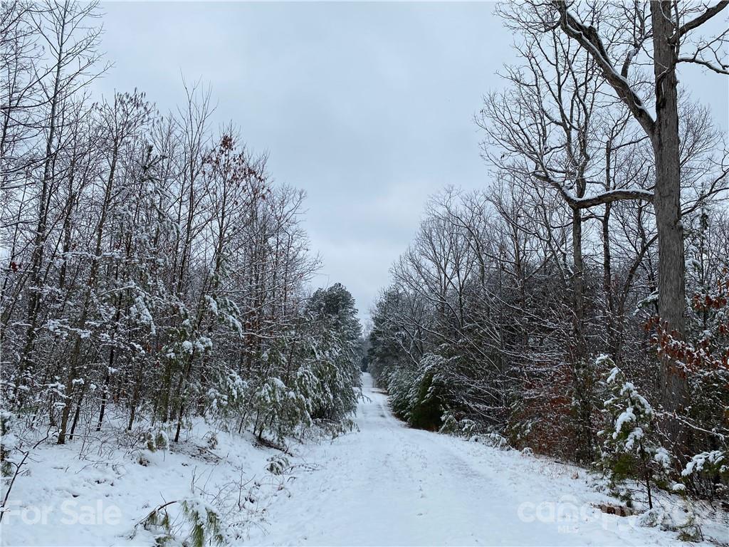 257 Pilot Ridge Road Nebo NC 28761