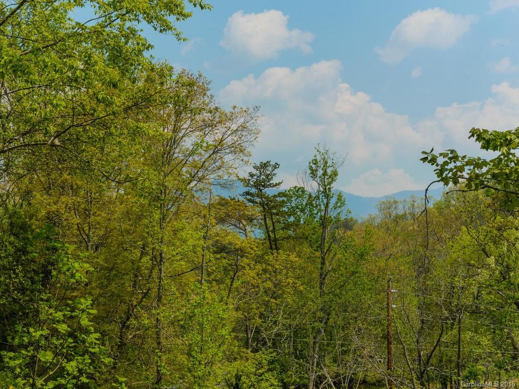 8 Arbor Meadow Lane Asheville NC 28805
