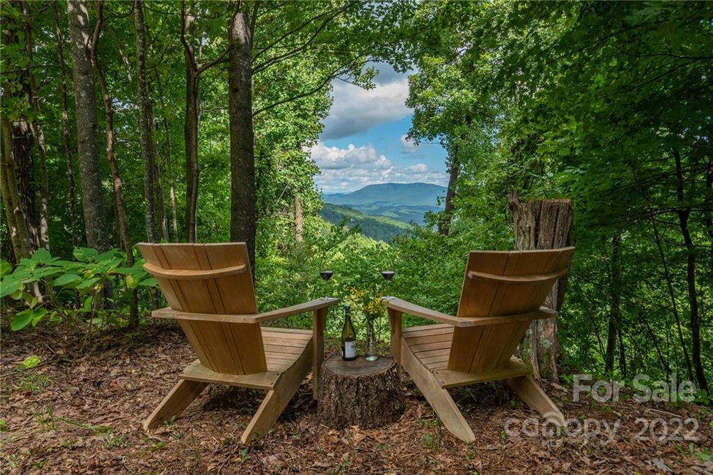 34 Berry Lane Black Mountain NC 28711