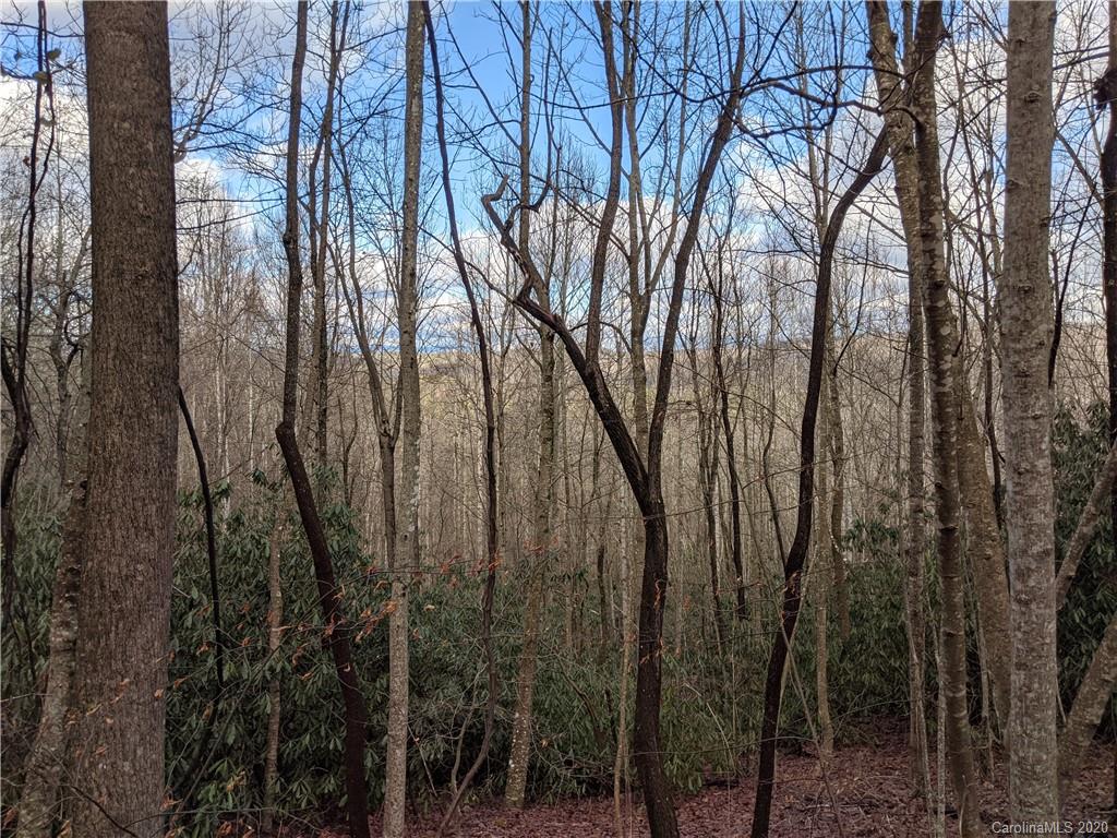 2391 Old Ccc Road Hendersonville NC 28739