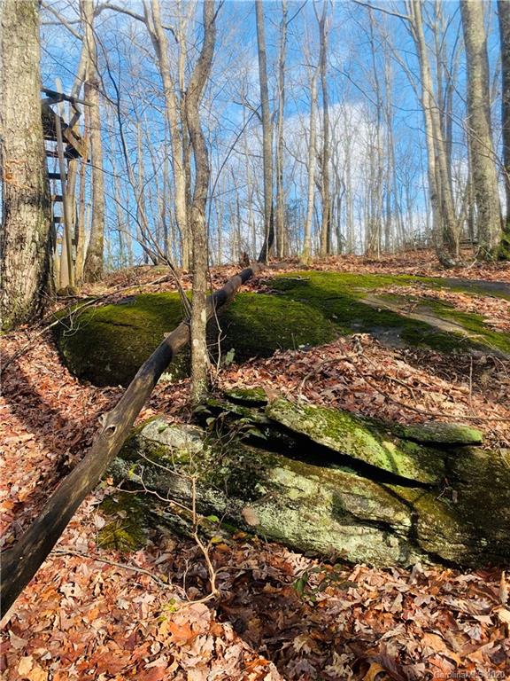 2391 Old Ccc Road Hendersonville NC 28739
