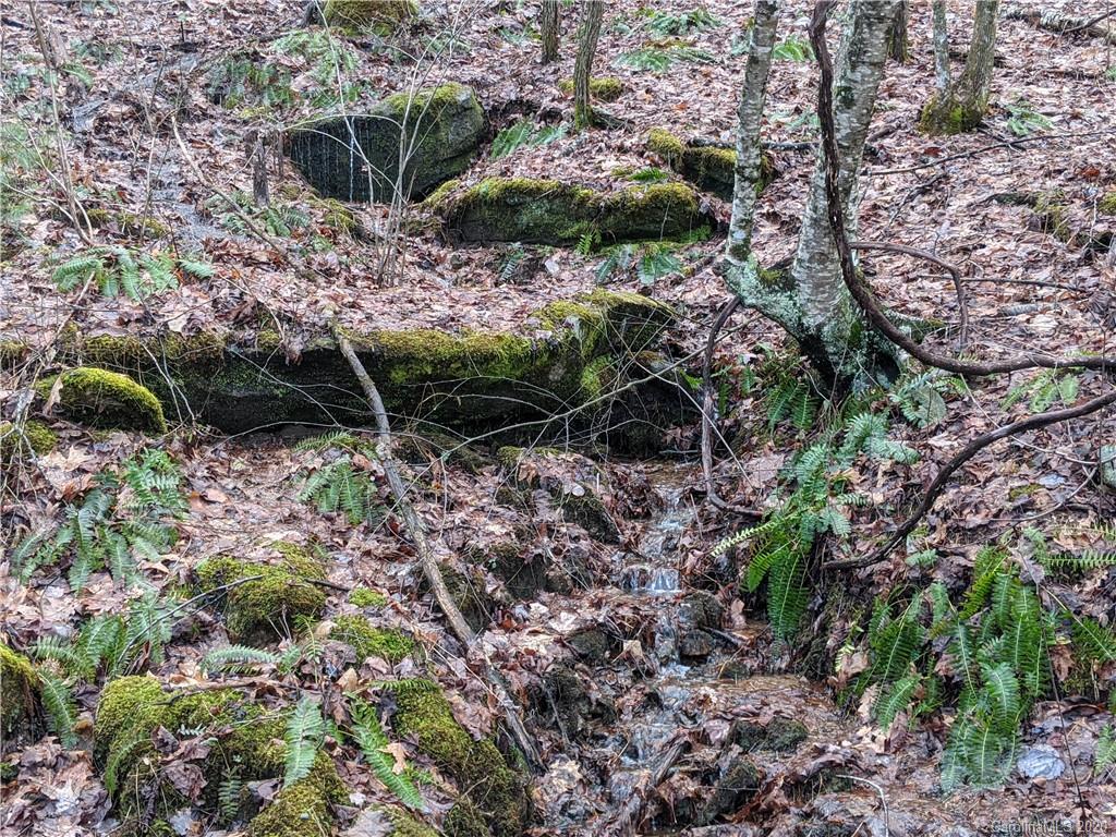 2391 Old Ccc Road Hendersonville NC 28739