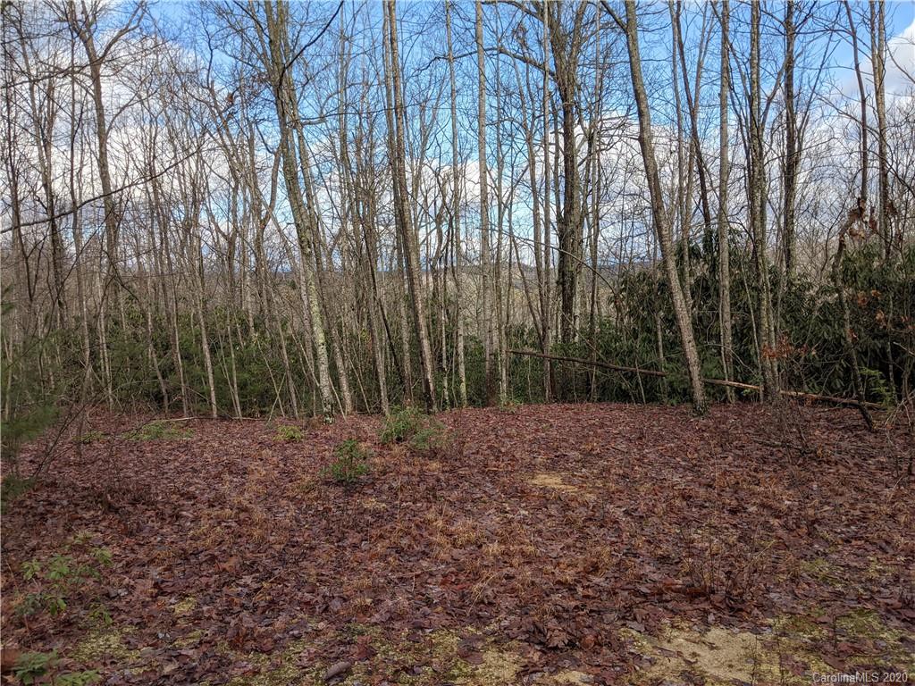 2391 Old Ccc Road Hendersonville NC 28739