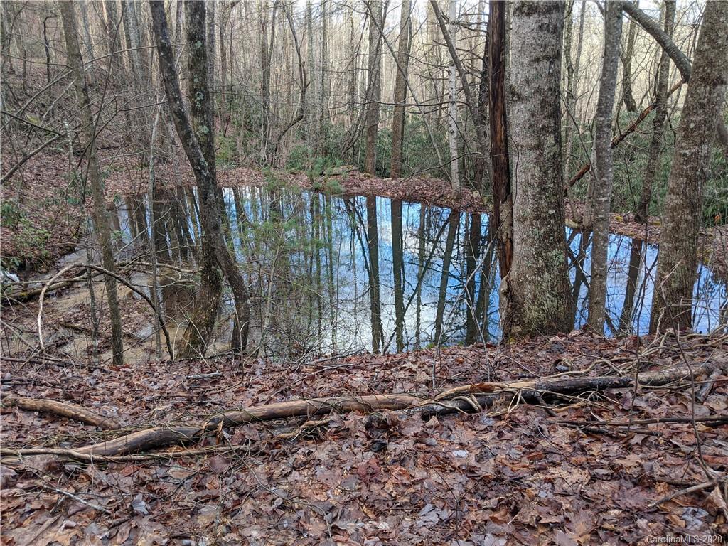 2391 Old Ccc Road Hendersonville NC 28739