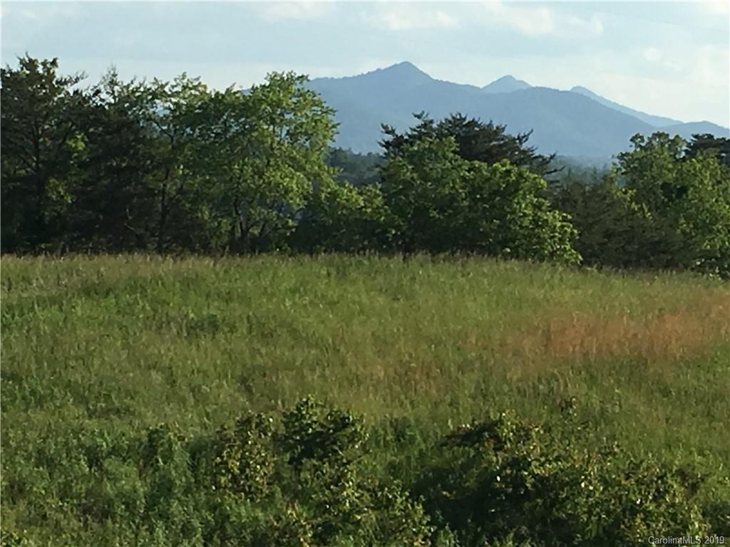 56 Wiley Drive Asheville NC 28804