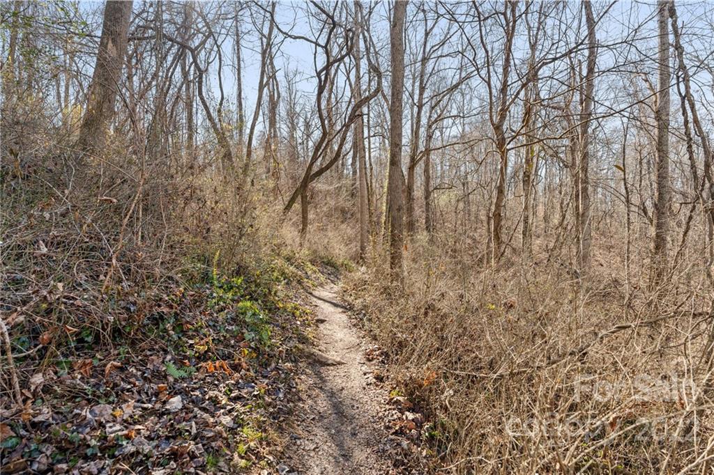 23 Valle Vista Drive Asheville NC 28804