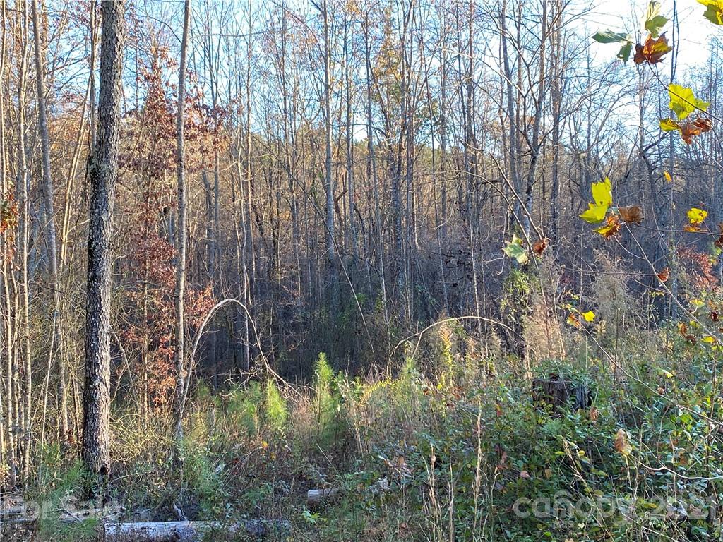 143 Pilot Ridge Road Nebo NC 28761