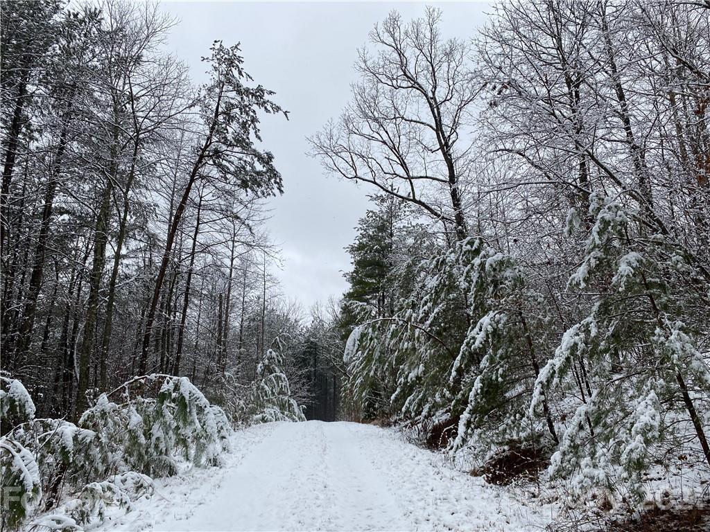 143 Pilot Ridge Road Nebo NC 28761