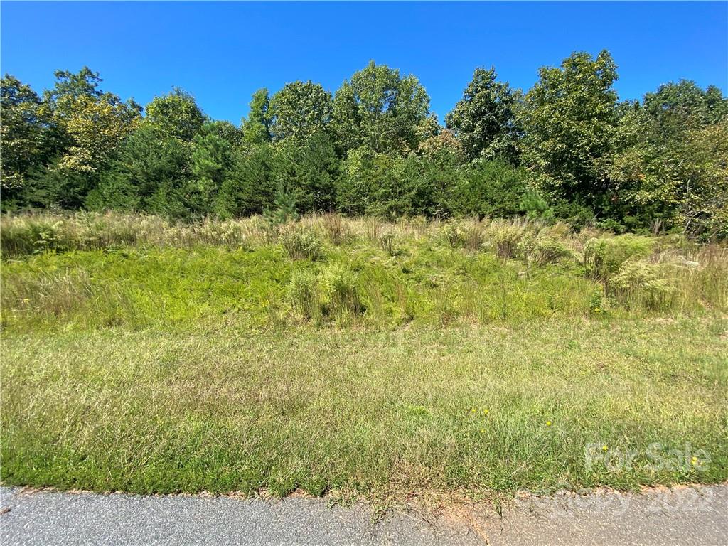 0 Hickory Loop Rutherfordton NC 28139