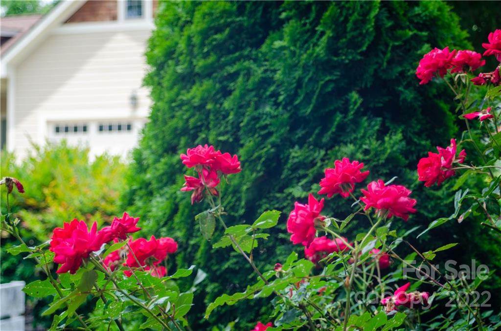 30 Asher Lane Arden NC 28704