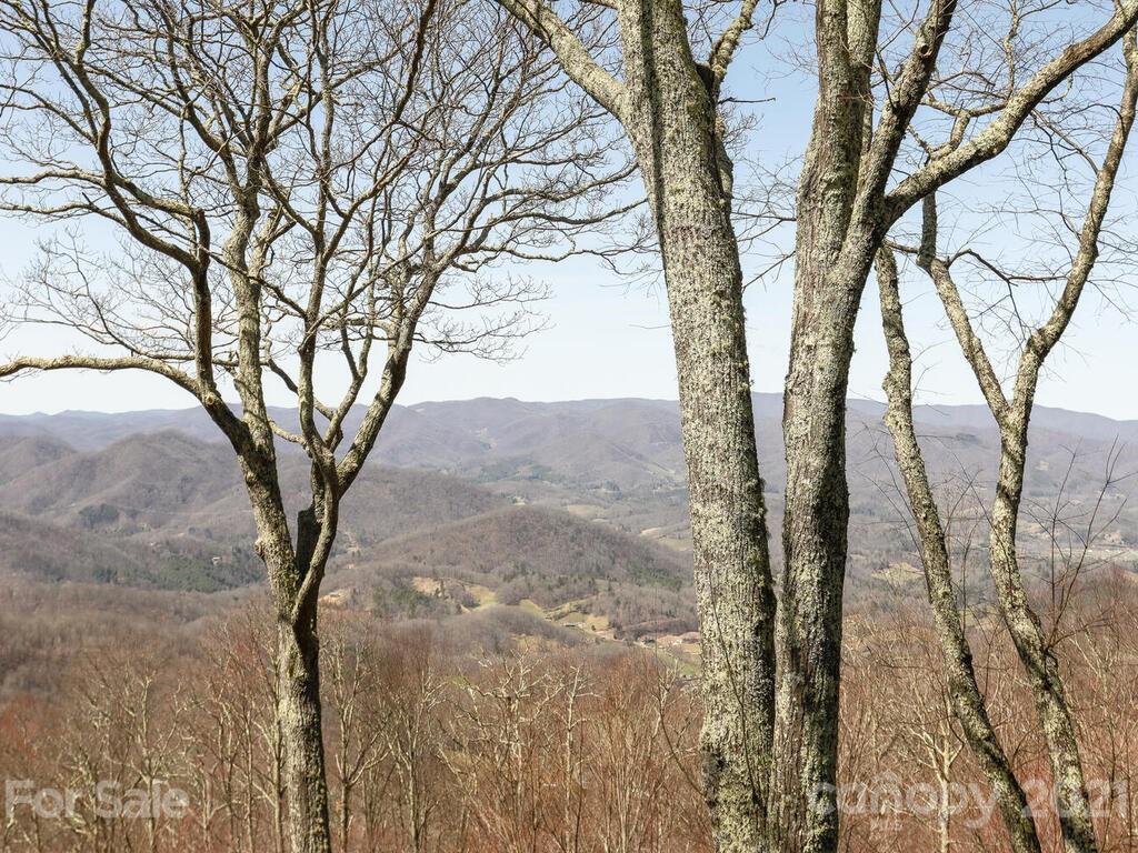 96 Wormy Chestnut Road Burnsville NC 28714