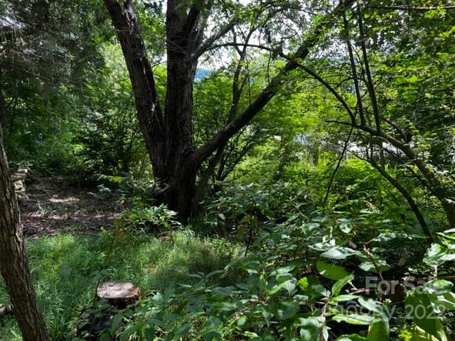 451 Onteora Boulevard Asheville NC 28803