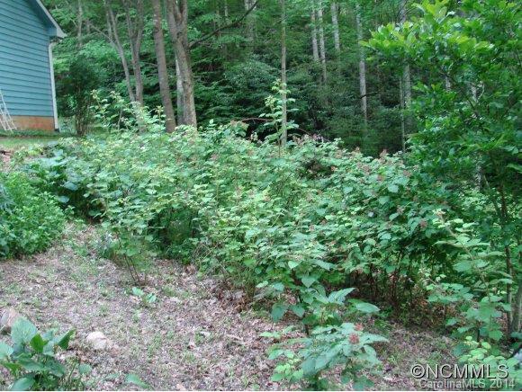 179 Saw Branch Road Candler NC 28715