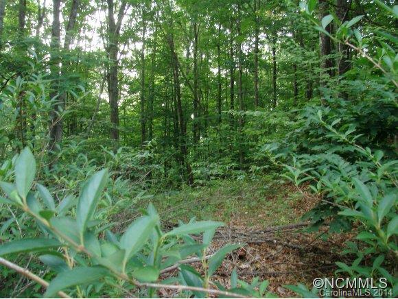 179 Saw Branch Road Candler NC 28715