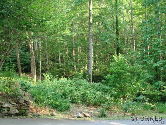 179 Saw Branch Road Candler NC 28715
