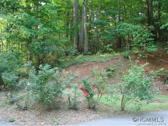 179 Saw Branch Road Candler NC 28715